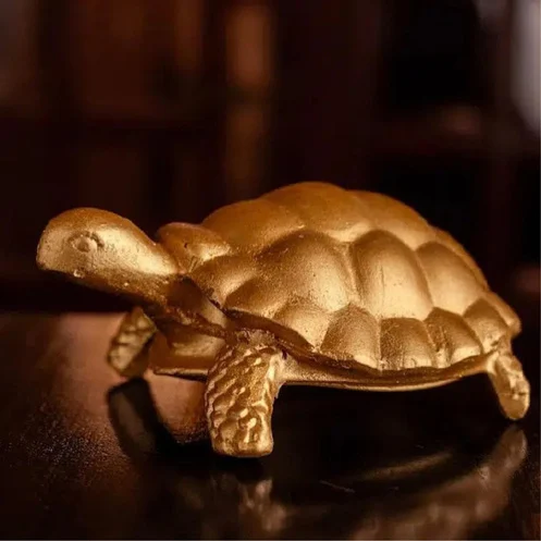 Zena la Tortue